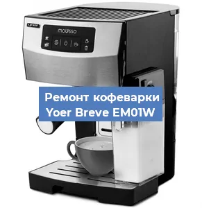 Замена | Ремонт мультиклапана на кофемашине Yoer Breve EM01W в Краснодаре